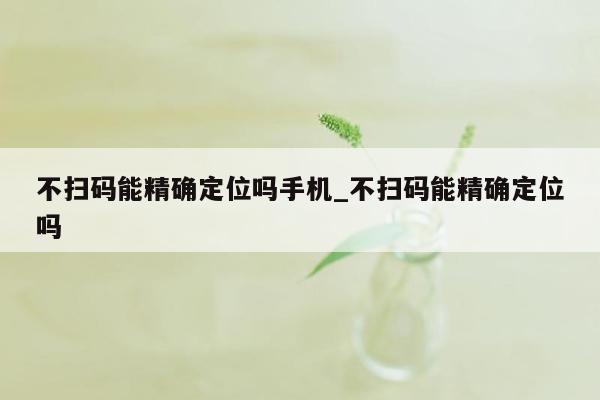 不扫码能精确定位吗手机_不扫码能精确定位吗