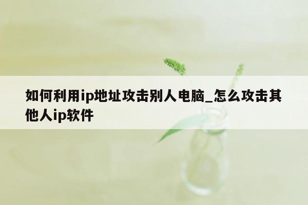 如何利用ip地址攻击别人电脑_怎么攻击其他人ip软件