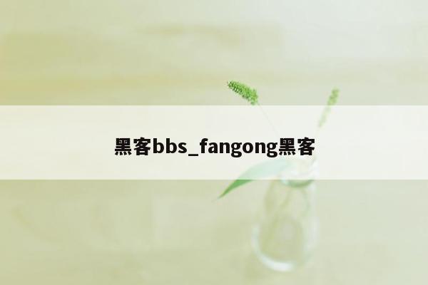 黑客bbs_fangong黑客