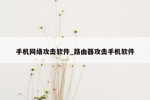 手机网络攻击软件_路由器攻击手机软件