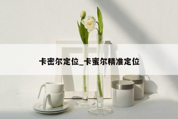 卡密尔定位_卡蜜尔精准定位