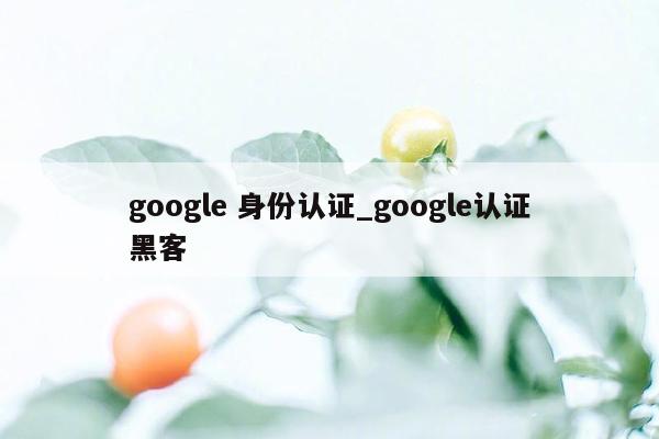 google 身份认证_google认证黑客