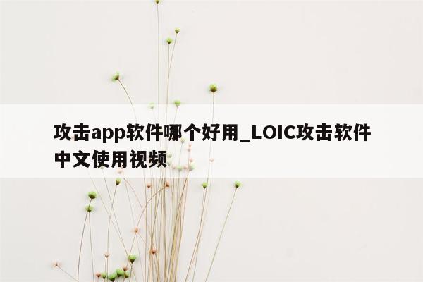 攻击app软件哪个好用_LOIC攻击软件中文使用视频