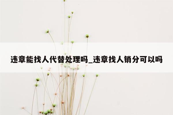 违章能找人代替处理吗_违章找人销分可以吗