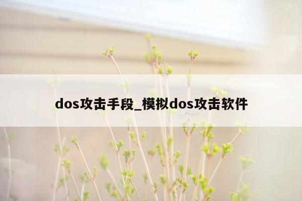 dos攻击手段_模拟dos攻击软件