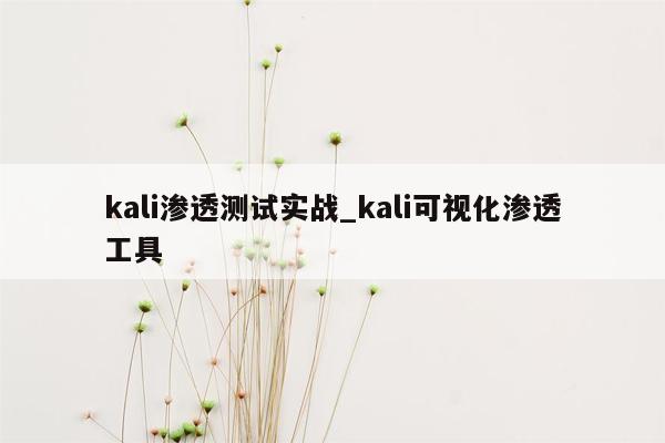 kali渗透测试实战_kali可视化渗透工具