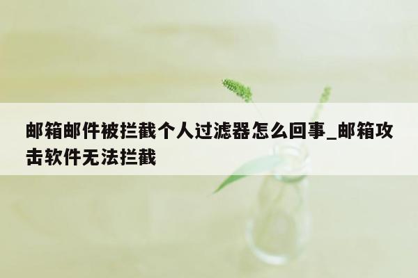 邮箱邮件被拦截个人过滤器怎么回事_邮箱攻击软件无法拦截