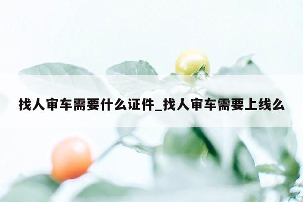 找人审车需要什么证件_找人审车需要上线么