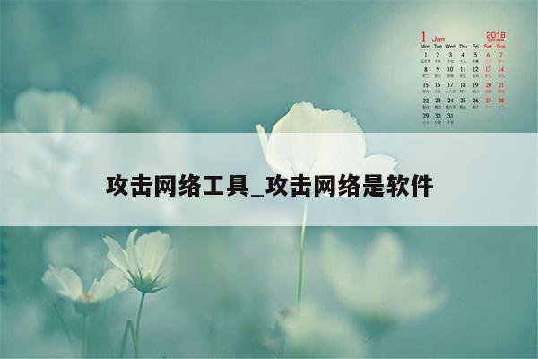 攻击网络工具_攻击网络是软件