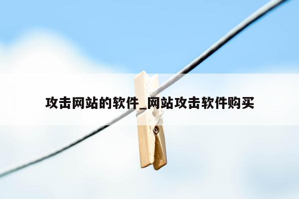 攻击网站的软件_网站攻击软件购买