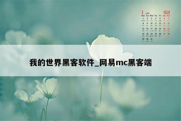 我的世界黑客软件_网易mc黑客端