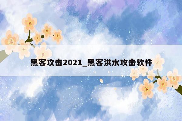 黑客攻击2021_黑客洪水攻击软件