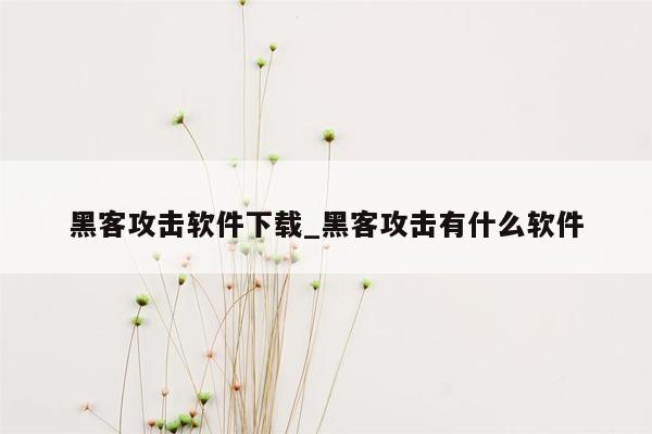 黑客攻击软件下载_黑客攻击有什么软件