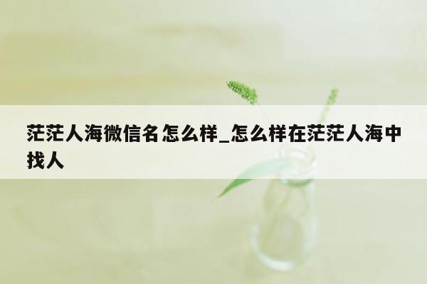 茫茫人海微信名怎么样_怎么样在茫茫人海中找人