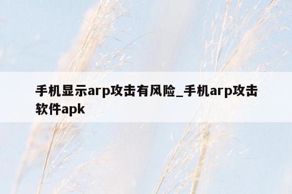 手机显示arp攻击有风险_手机arp攻击软件apk