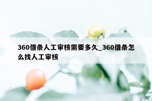 360借条人工审核需要多久_360借条怎么找人工审核