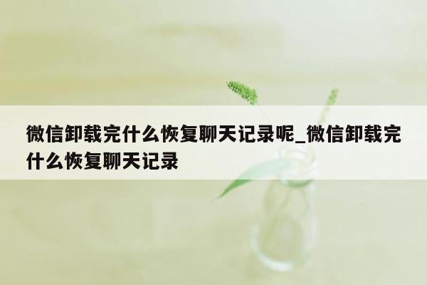 微信卸载完什么恢复聊天记录呢_微信卸载完什么恢复聊天记录