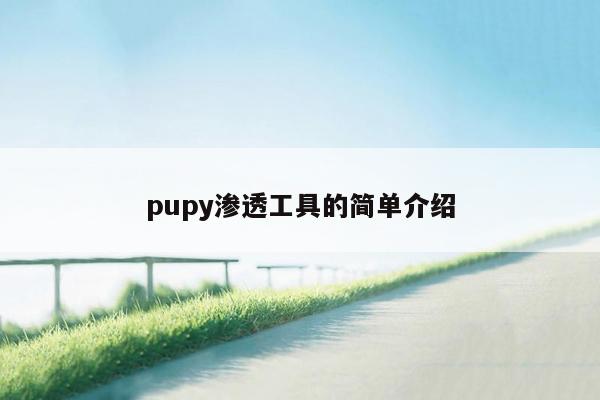 pupy渗透工具的简单介绍