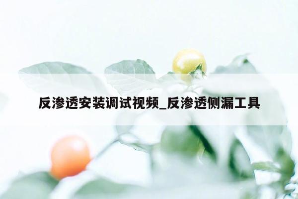 反渗透安装调试视频_反渗透侧漏工具