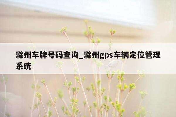 滁州车牌号码查询_滁州gps车辆定位管理系统