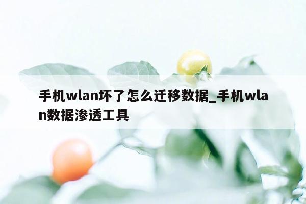 手机wlan坏了怎么迁移数据_手机wlan数据渗透工具