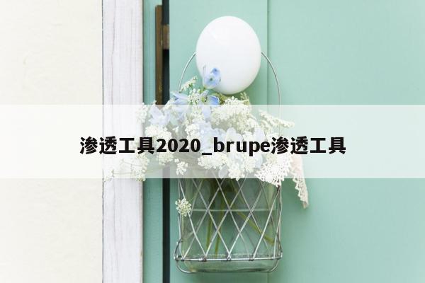 渗透工具2020_brupe渗透工具