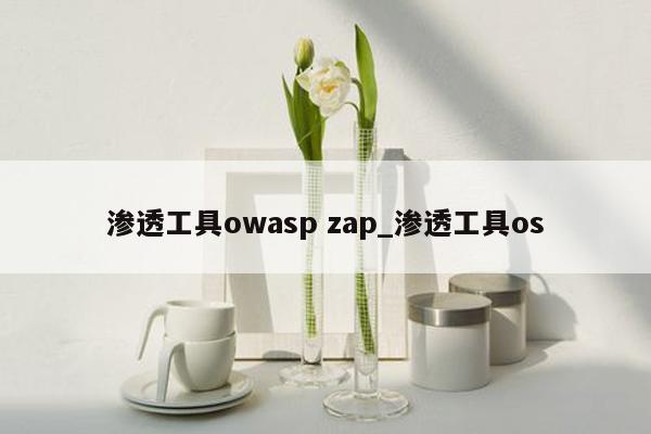 渗透工具owasp zap_渗透工具os