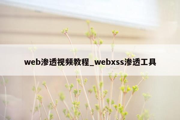 web渗透视频教程_webxss渗透工具