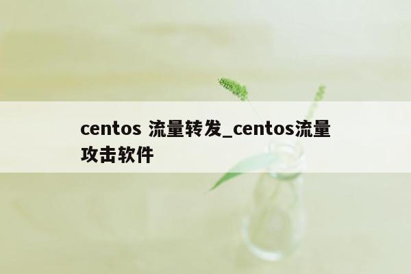 centos 流量转发_centos流量攻击软件