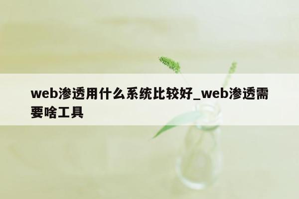 web渗透用什么系统比较好_web渗透需要啥工具