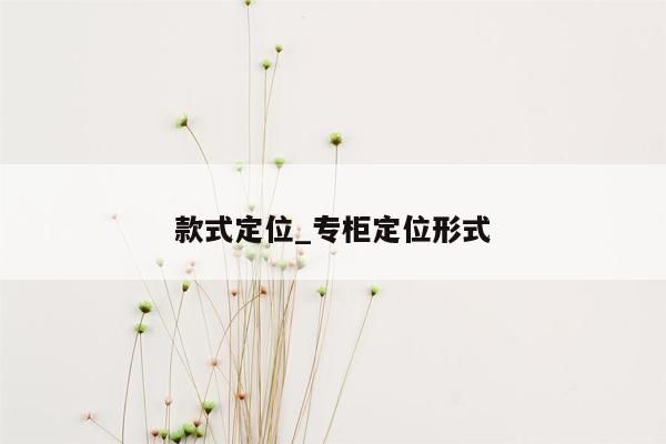 款式定位_专柜定位形式