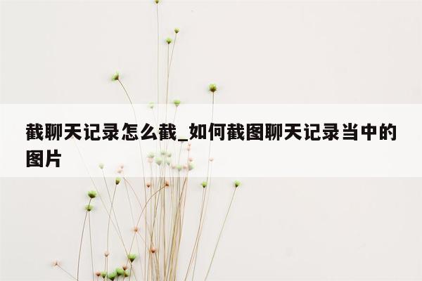 截聊天记录怎么截_如何截图聊天记录当中的图片