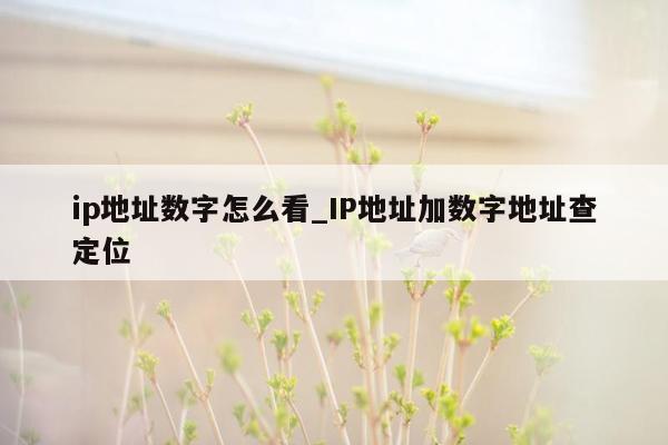 ip地址数字怎么看_IP地址加数字地址查定位