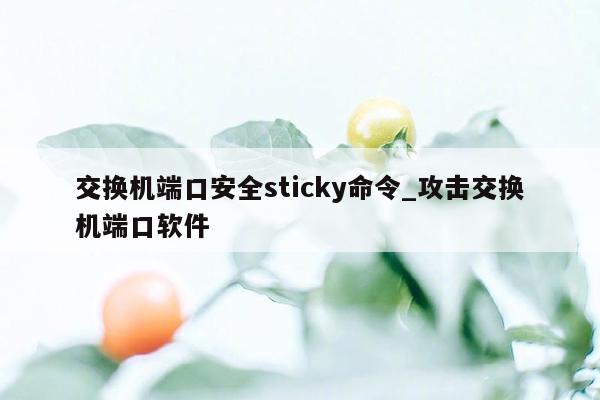 交换机端口安全sticky命令_攻击交换机端口软件