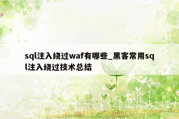 sql注入绕过waf有哪些_黑客常用sql注入绕过技术总结