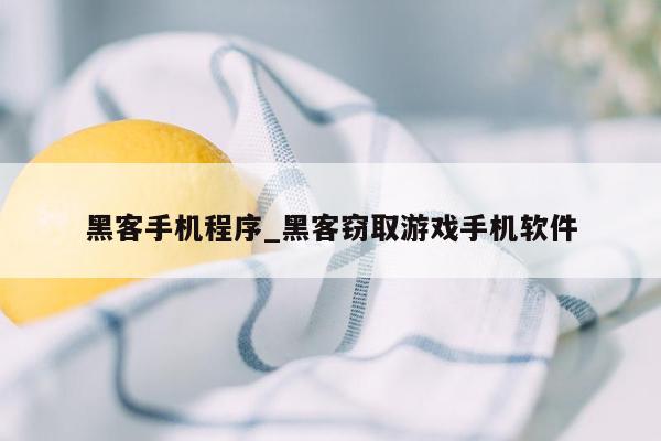 黑客手机程序_黑客窃取游戏手机软件