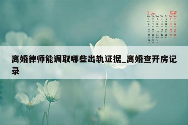 离婚律师能调取哪些出轨证据_离婚查开房记录