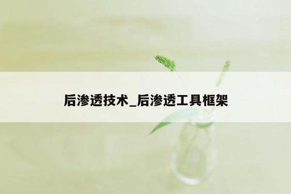 后渗透技术_后渗透工具框架