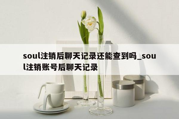 soul注销后聊天记录还能查到吗_soul注销账号后聊天记录