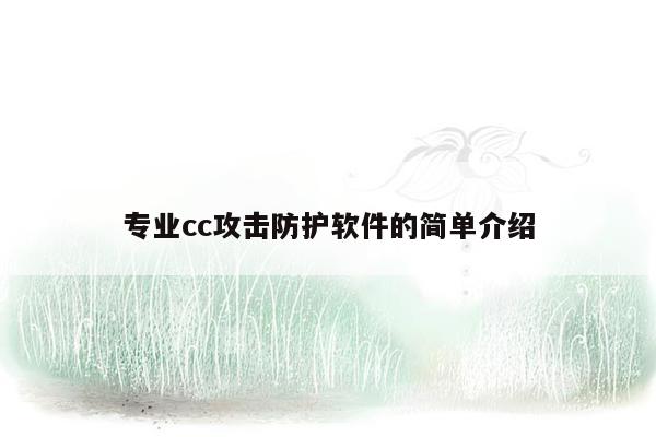 专业cc攻击防护软件的简单介绍