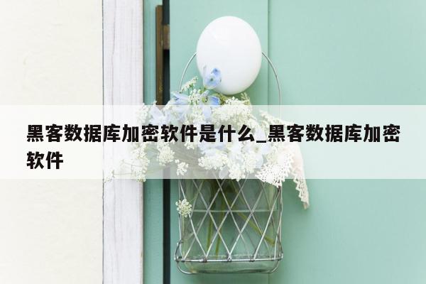 黑客数据库加密软件是什么_黑客数据库加密软件