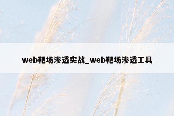 web靶场渗透实战_web靶场渗透工具