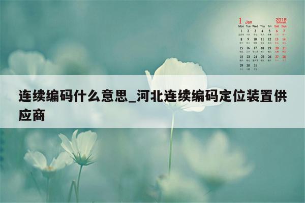 连续编码什么意思_河北连续编码定位装置供应商