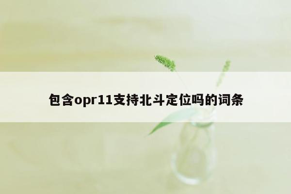 包含opr11支持北斗定位吗的词条