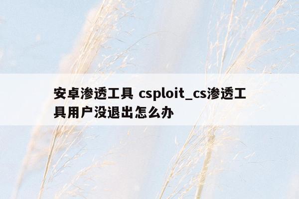 安卓渗透工具 csploit_cs渗透工具用户没退出怎么办