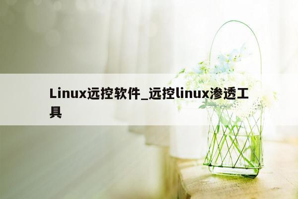 Linux远控软件_远控linux渗透工具