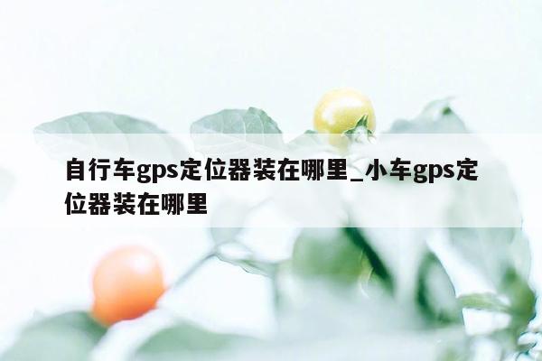 自行车gps定位器装在哪里_小车gps定位器装在哪里