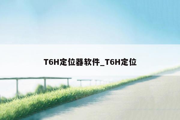 T6H定位器软件_T6H定位