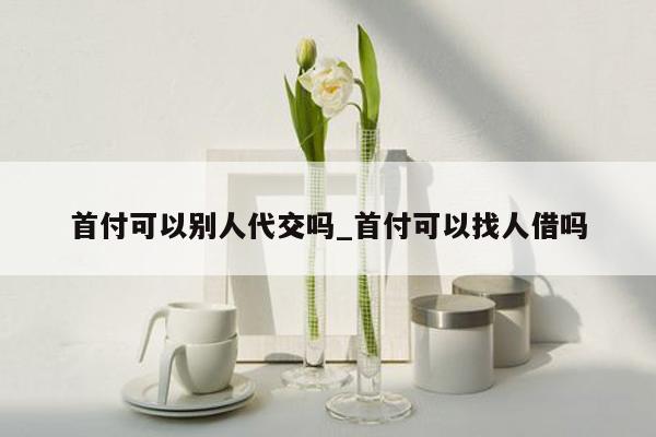 首付可以别人代交吗_首付可以找人借吗