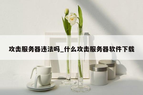 攻击服务器违法吗_什么攻击服务器软件下载